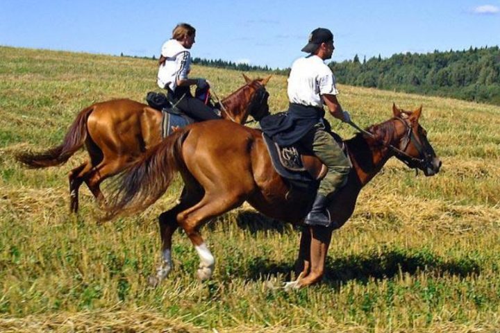 Конный туризм в Башкирии. Конные туры на Южном Урале 2014, фото 4
