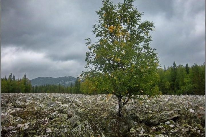 Летний Таганай, фото 2
