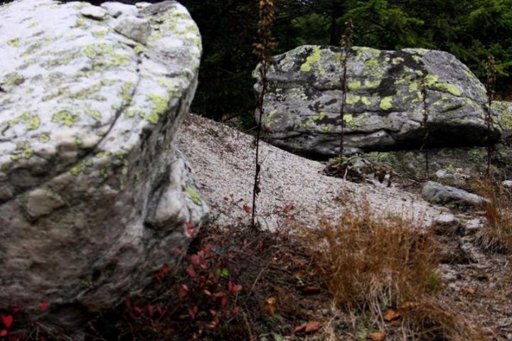 Летний Таганай, фото 4
