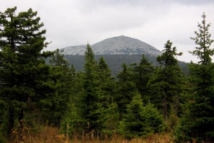 Летний Таганай, фото 5